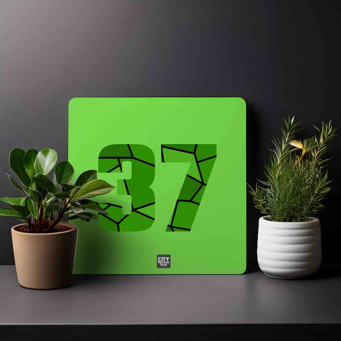 37 Number Mousepad (Liril Green)