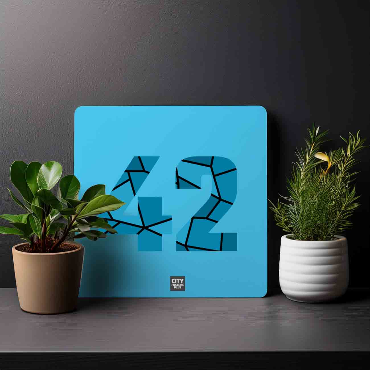 42 Number Mousepad (Sky Blue)