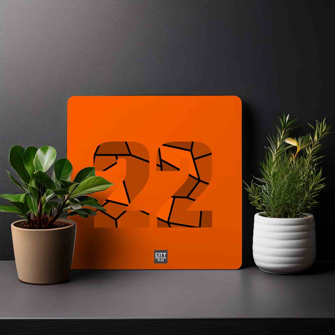 22 Number Mousepad (Orange)