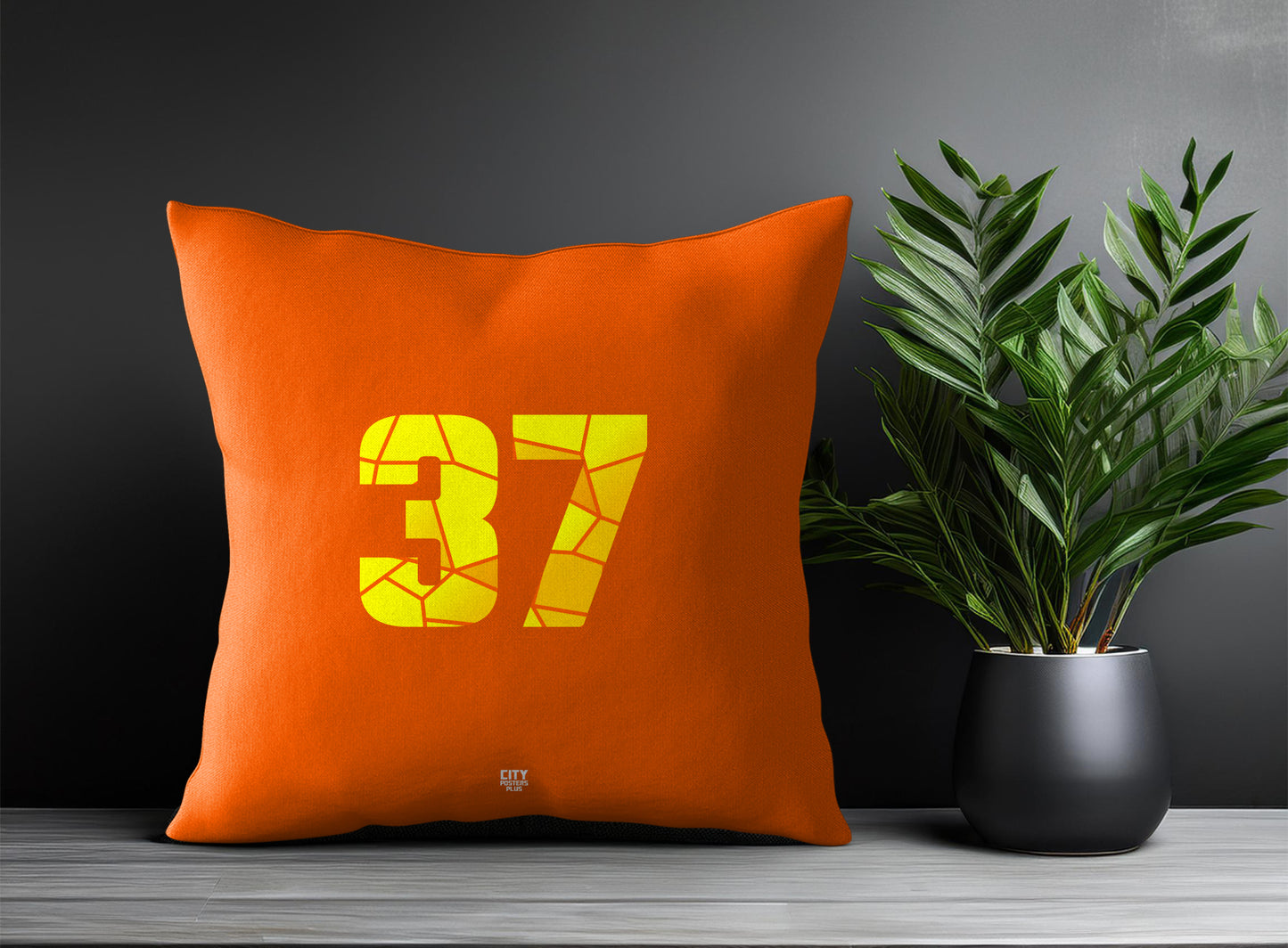 37 Number Square & Rectangle Pillow Cases | Print Deliver Plus by City Posters Plus