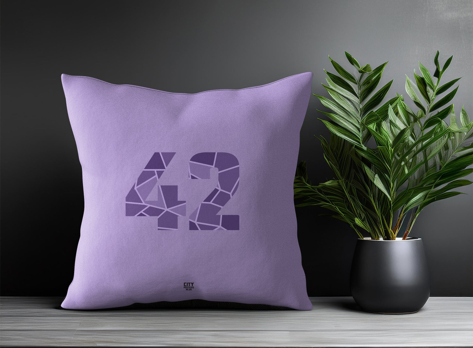 42 Number Square & Rectangle Pillow Cases | Print Deliver Plus by City Posters Plus