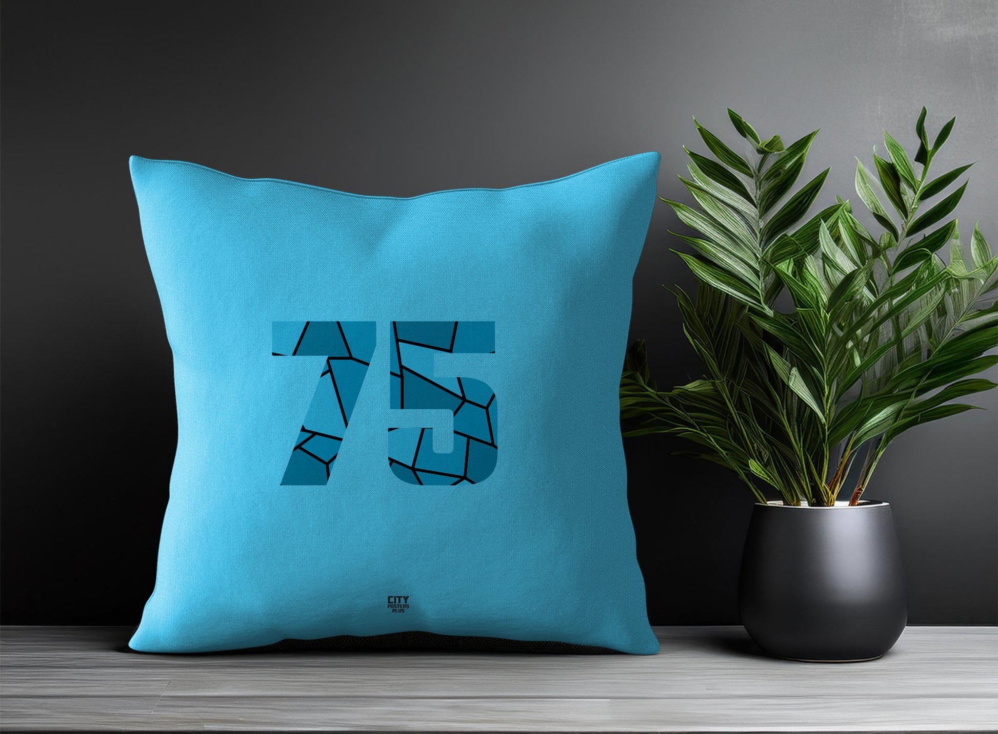 75 Number Square & Rectangle Pillow Cases | Print Deliver Plus by City Posters Plus