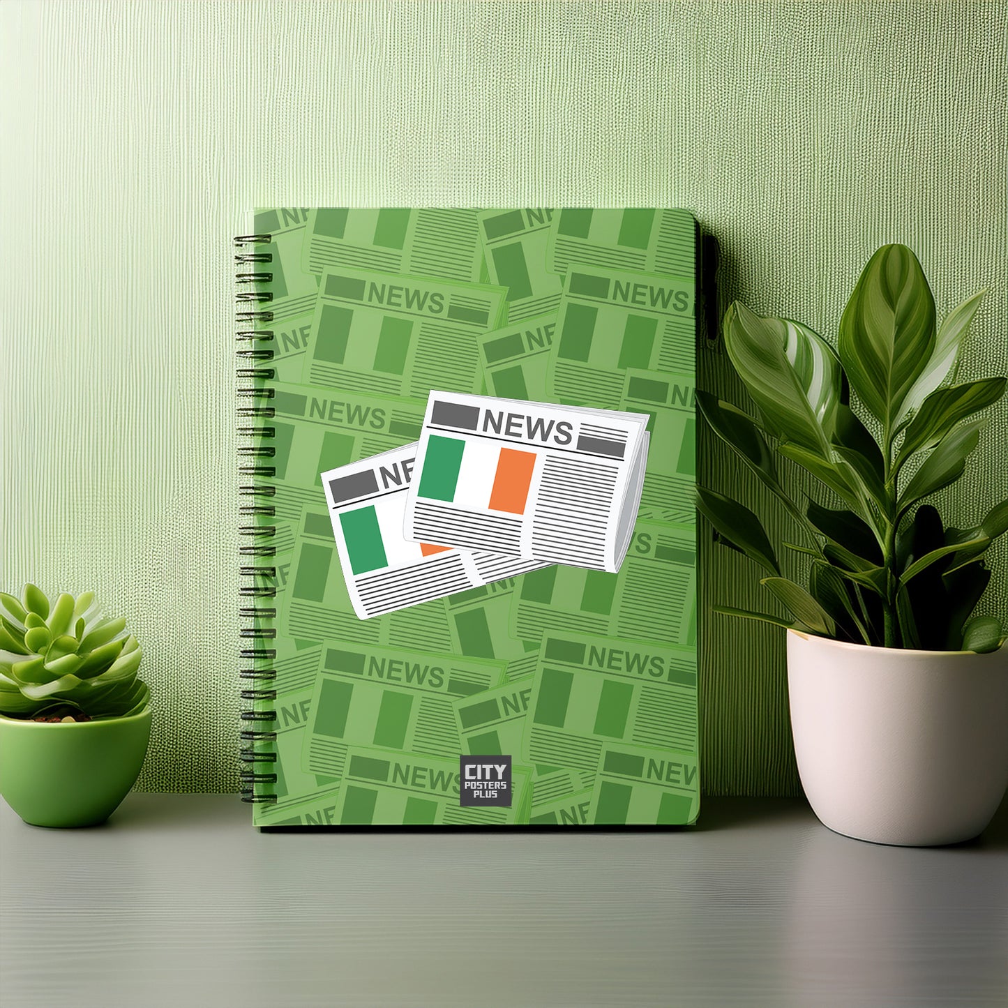 Ireland Newspapers Notebook