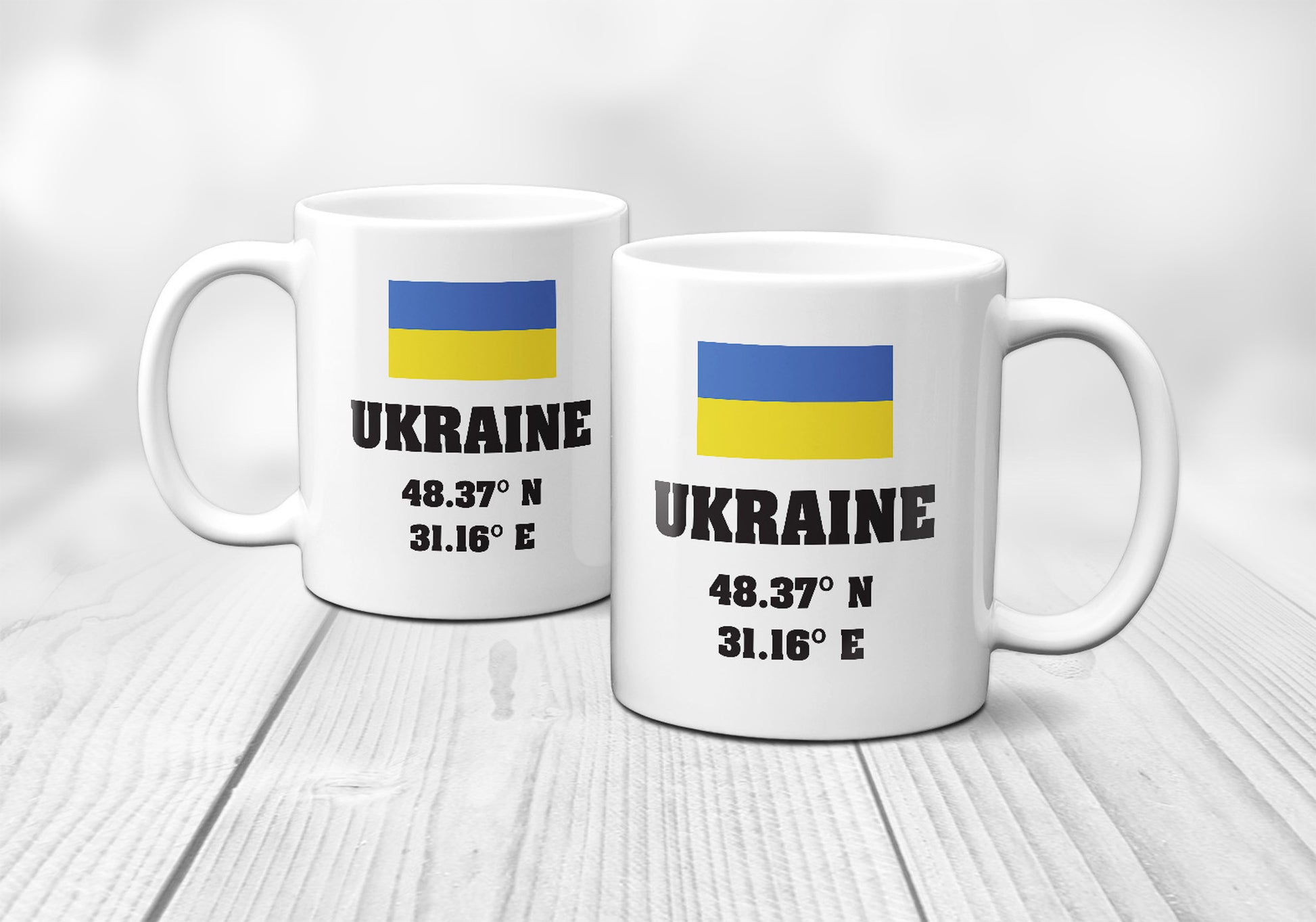 Ukraine Laitutude Longitude Mug